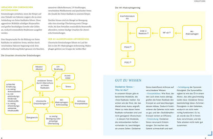 GU Arthrose endlich heilen (Deutsch, 2024, Wolfgang Feil, Tobias Homburg)