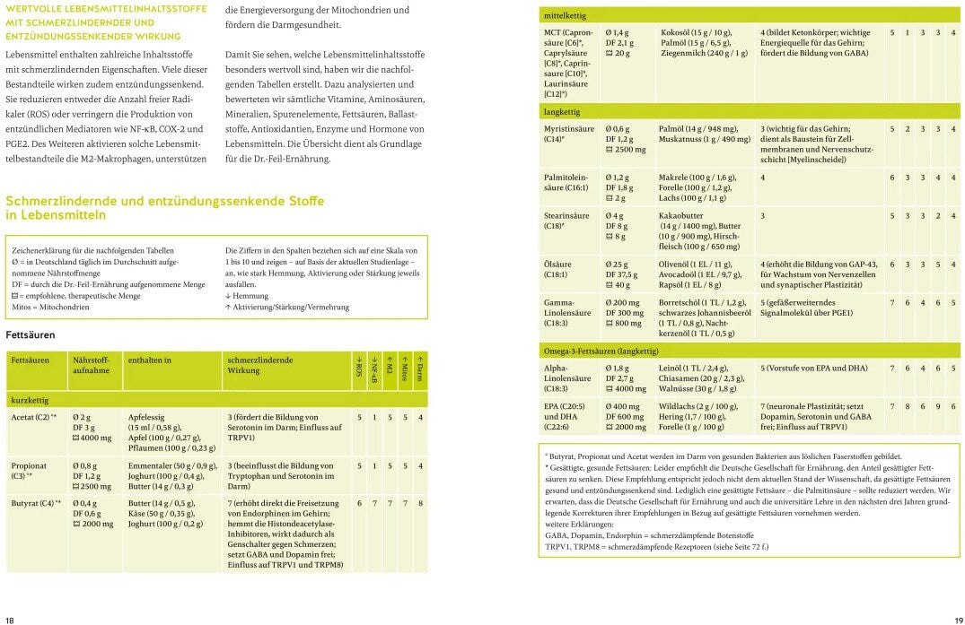 GU Arthrose endlich heilen (Deutsch, 2024, Wolfgang Feil, Tobias Homburg)