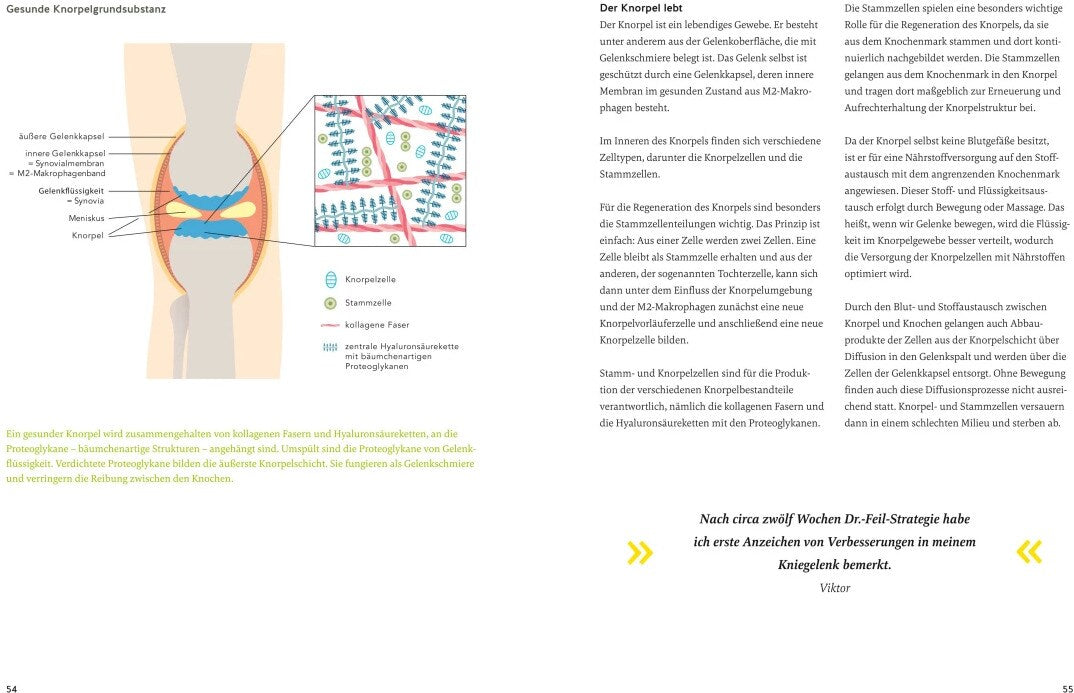 GU Arthrose endlich heilen (Deutsch, 2024, Wolfgang Feil, Tobias Homburg)