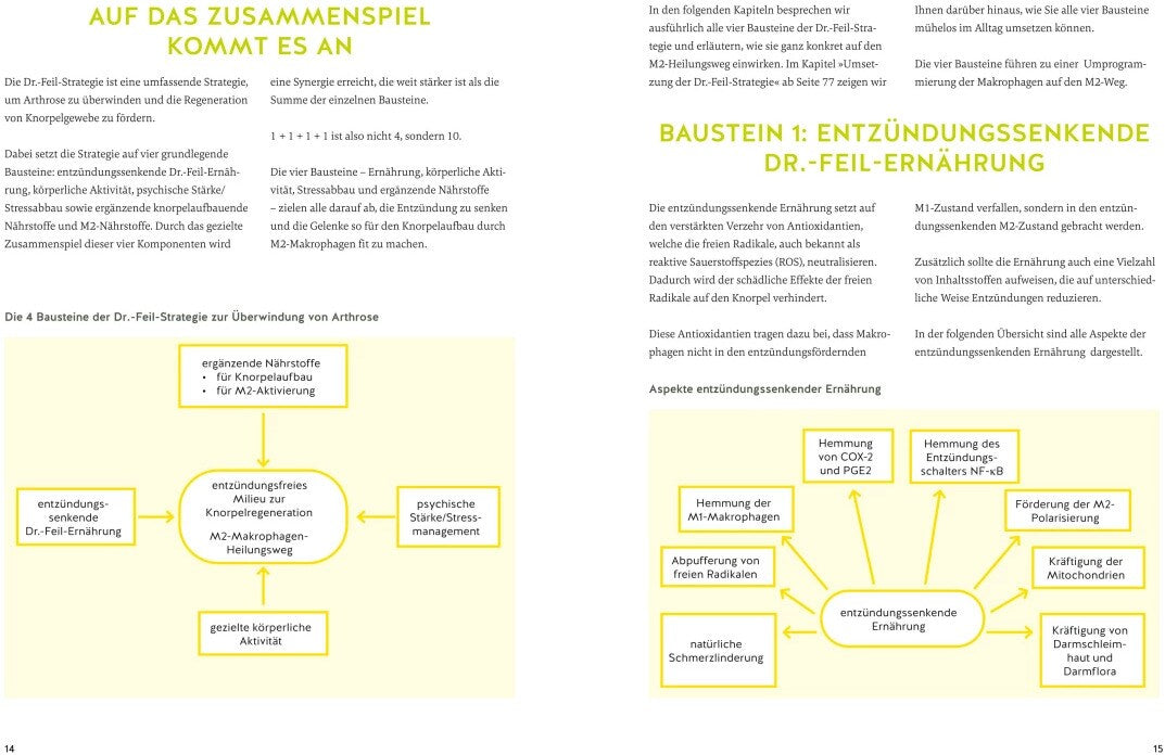GU Arthrose endlich heilen (Deutsch, 2024, Wolfgang Feil, Tobias Homburg)