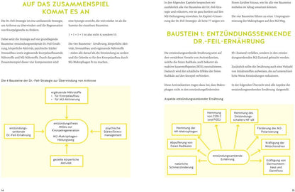 GU Arthrose endlich heilen (Deutsch, 2024, Wolfgang Feil, Tobias Homburg)