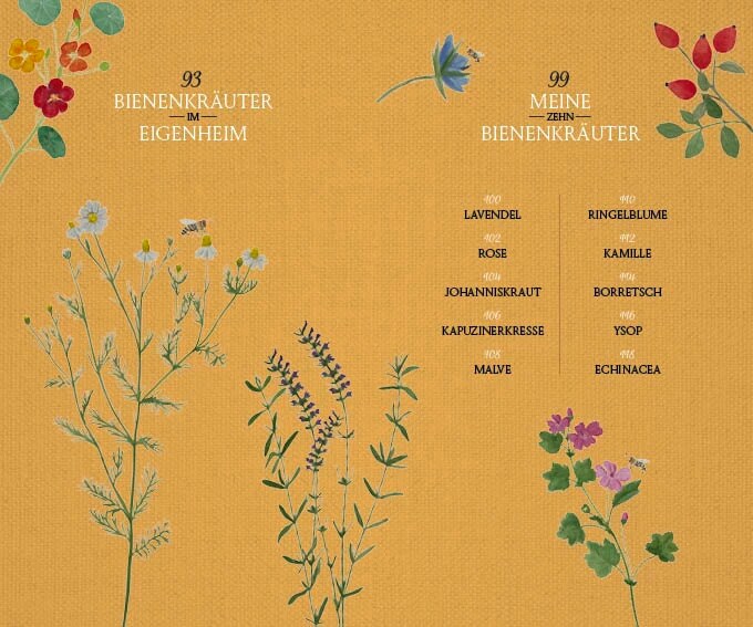 Servus Fräulein Grüns Bienenapotheke (Deutsch, 2023, Karina Nouman)