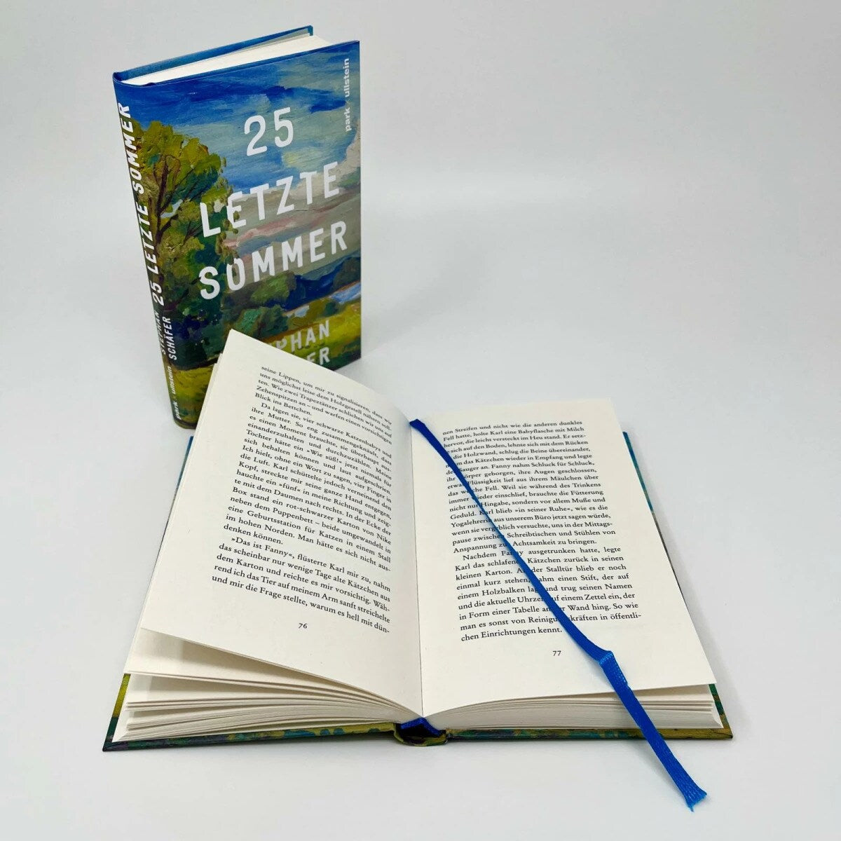 Ullstein 25 letzte Sommer (Deutsch, 2024, Stephan Schaefer)