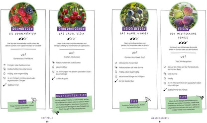 Edition Fischer In Null Komma Grün - Einfach gärtnern mit Raphy von gruenesparadies (Deutsch, 2024, Raphael Samylin)