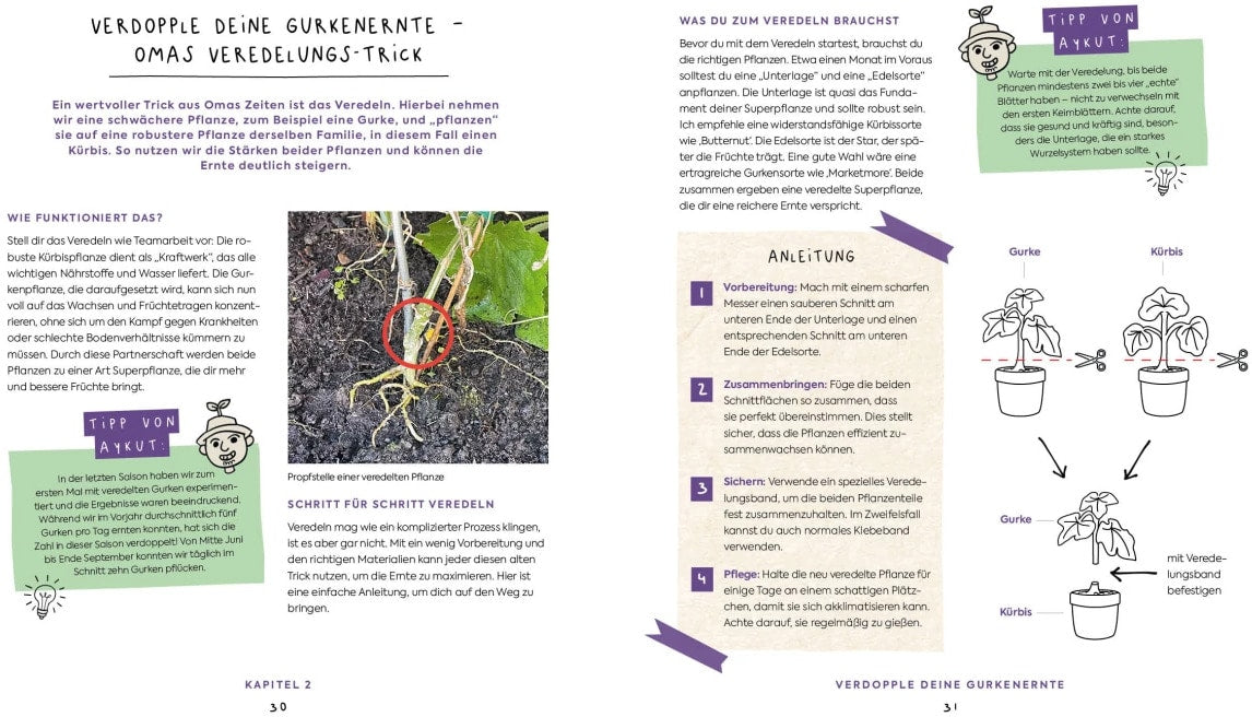 Edition Fischer In Null Komma Grün - Einfach gärtnern mit Raphy von gruenesparadies (Deutsch, 2024, Raphael Samylin)