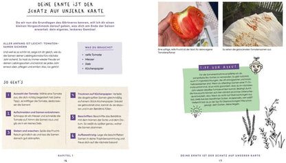 Edition Fischer In Null Komma Grün - Einfach gärtnern mit Raphy von gruenesparadies (Deutsch, 2024, Raphael Samylin)