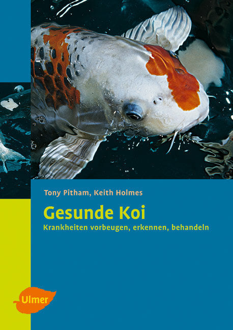 Gesunde Koi (Keith Holmes)