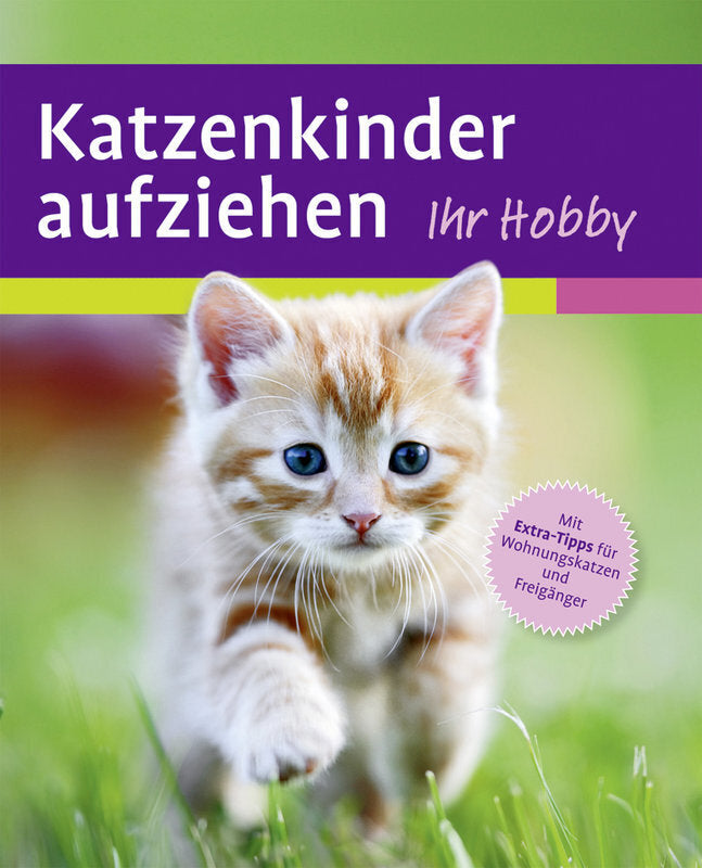 Katzenkinder aufziehen (Mark Evans)