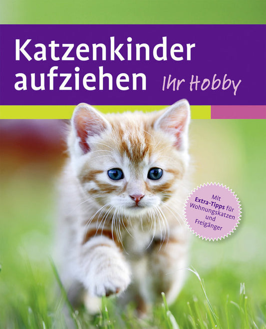 Katzenkinder aufziehen (Mark Evans)
