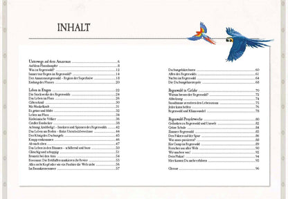 Sophie Verlag Verborgene Welt des Regenwaldes (Deutsch, 2020, Kristina Scharmacher-Schreiber, Ferruccio Cucchiarini)