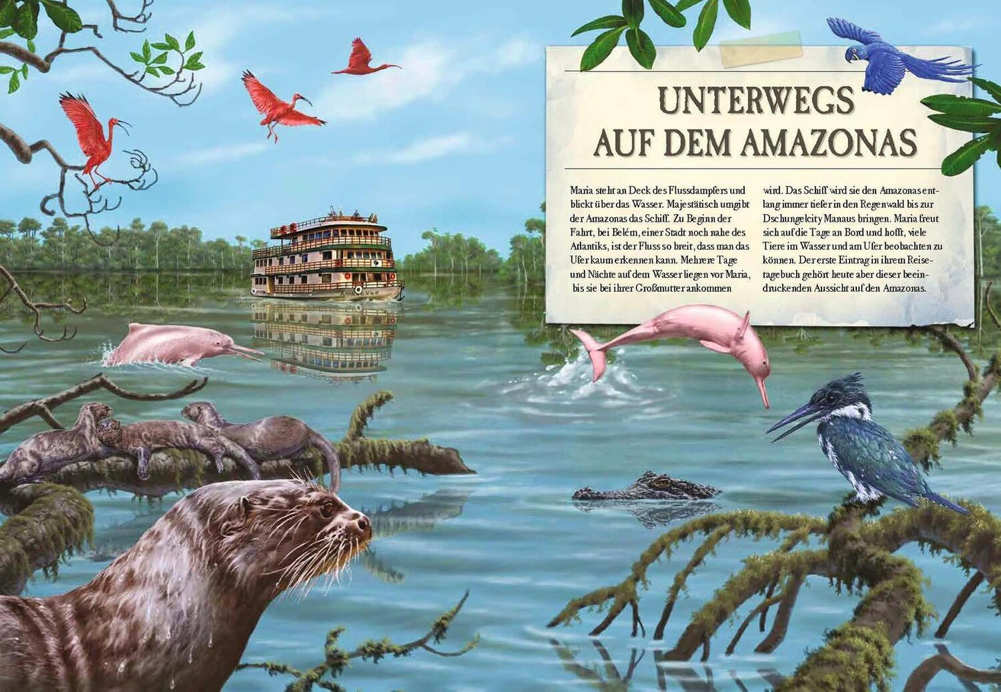 Sophie Verlag Verborgene Welt des Regenwaldes (Deutsch, 2020, Kristina Scharmacher-Schreiber, Ferruccio Cucchiarini)