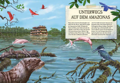 Sophie Verlag Verborgene Welt des Regenwaldes (Deutsch, 2020, Kristina Scharmacher-Schreiber, Ferruccio Cucchiarini)