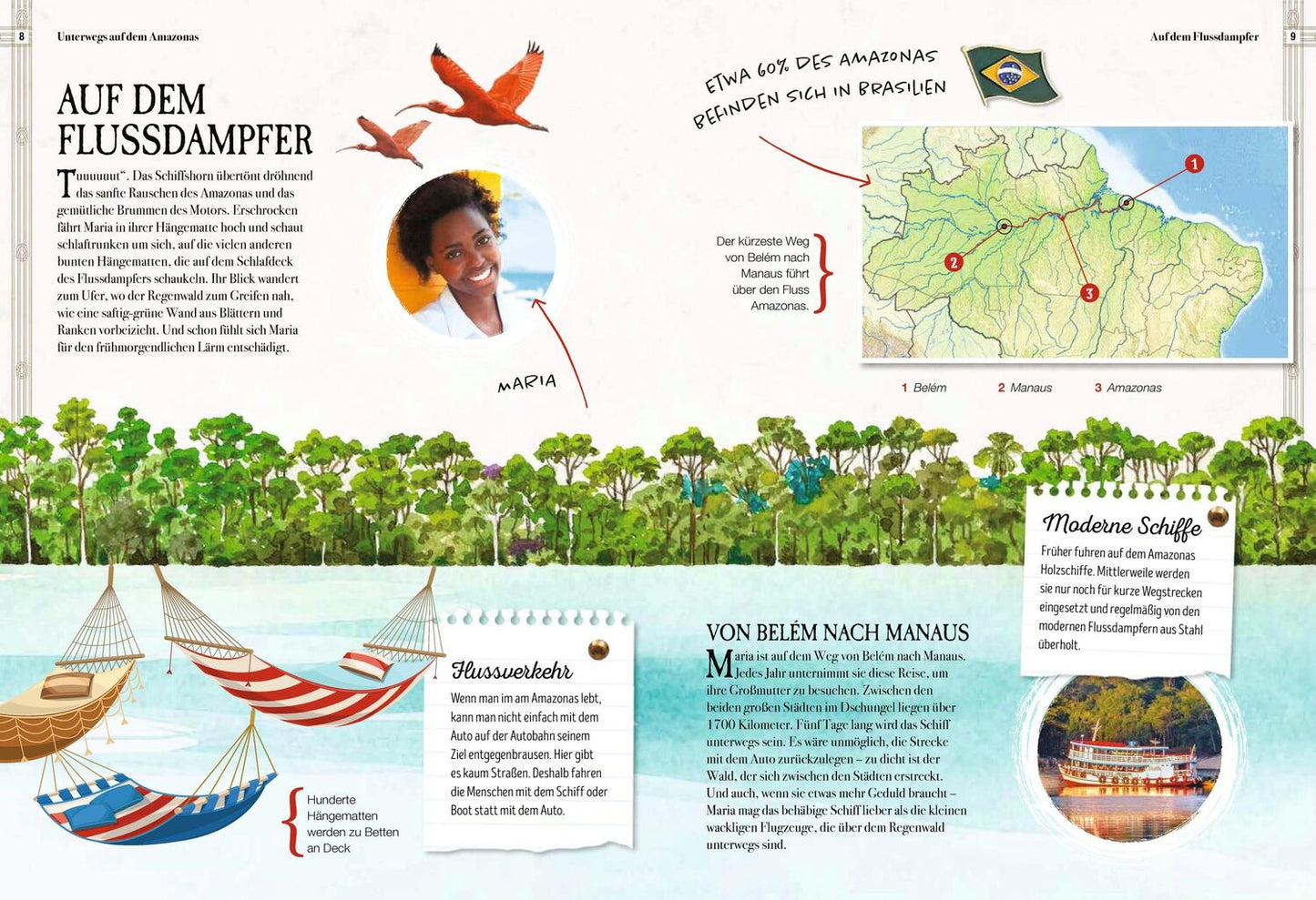 Sophie Verlag Verborgene Welt des Regenwaldes (Deutsch, 2020, Kristina Scharmacher-Schreiber, Ferruccio Cucchiarini)