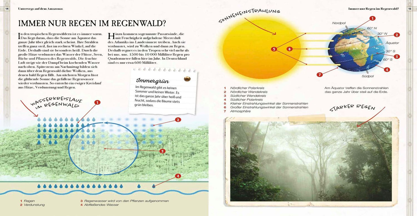 Sophie Verlag Verborgene Welt des Regenwaldes (Deutsch, 2020, Kristina Scharmacher-Schreiber, Ferruccio Cucchiarini)