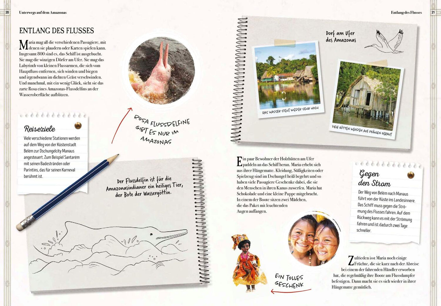 Sophie Verlag Verborgene Welt des Regenwaldes (Deutsch, 2020, Kristina Scharmacher-Schreiber, Ferruccio Cucchiarini)