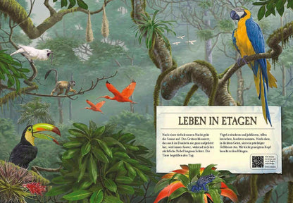 Sophie Verlag Verborgene Welt des Regenwaldes (Deutsch, 2020, Kristina Scharmacher-Schreiber, Ferruccio Cucchiarini)