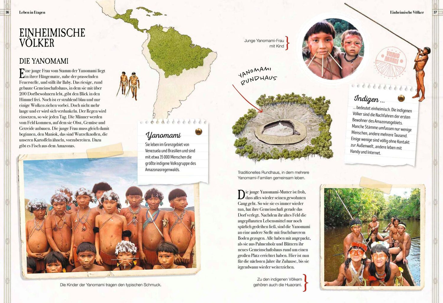 Sophie Verlag Verborgene Welt des Regenwaldes (Deutsch, 2020, Kristina Scharmacher-Schreiber, Ferruccio Cucchiarini)