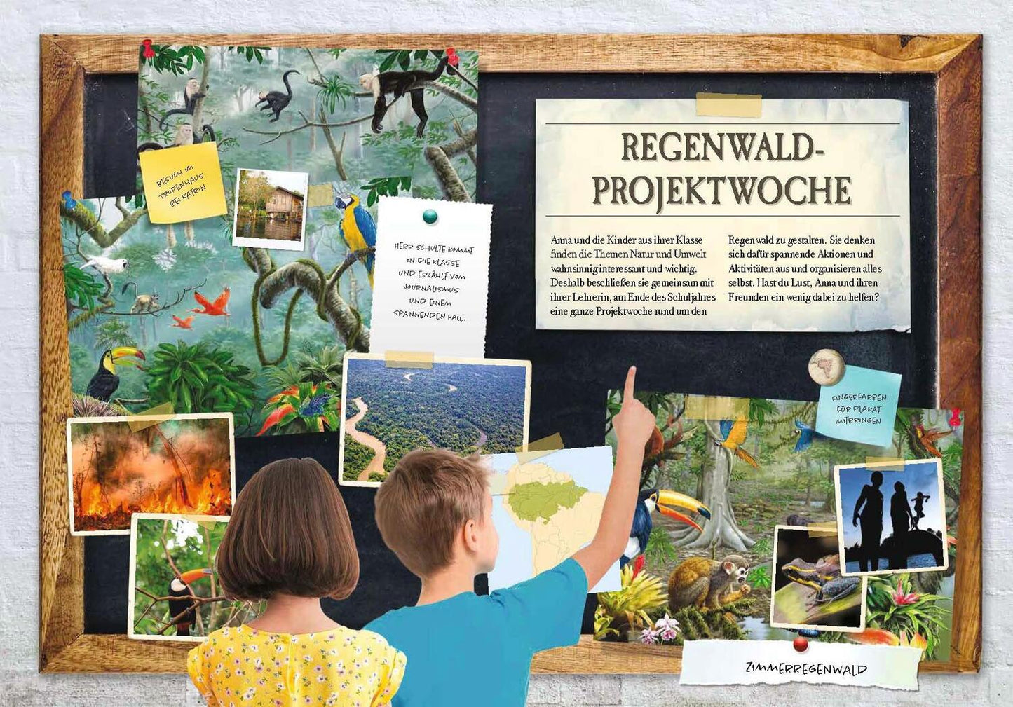 Sophie Verlag Verborgene Welt des Regenwaldes (Deutsch, 2020, Kristina Scharmacher-Schreiber, Ferruccio Cucchiarini)