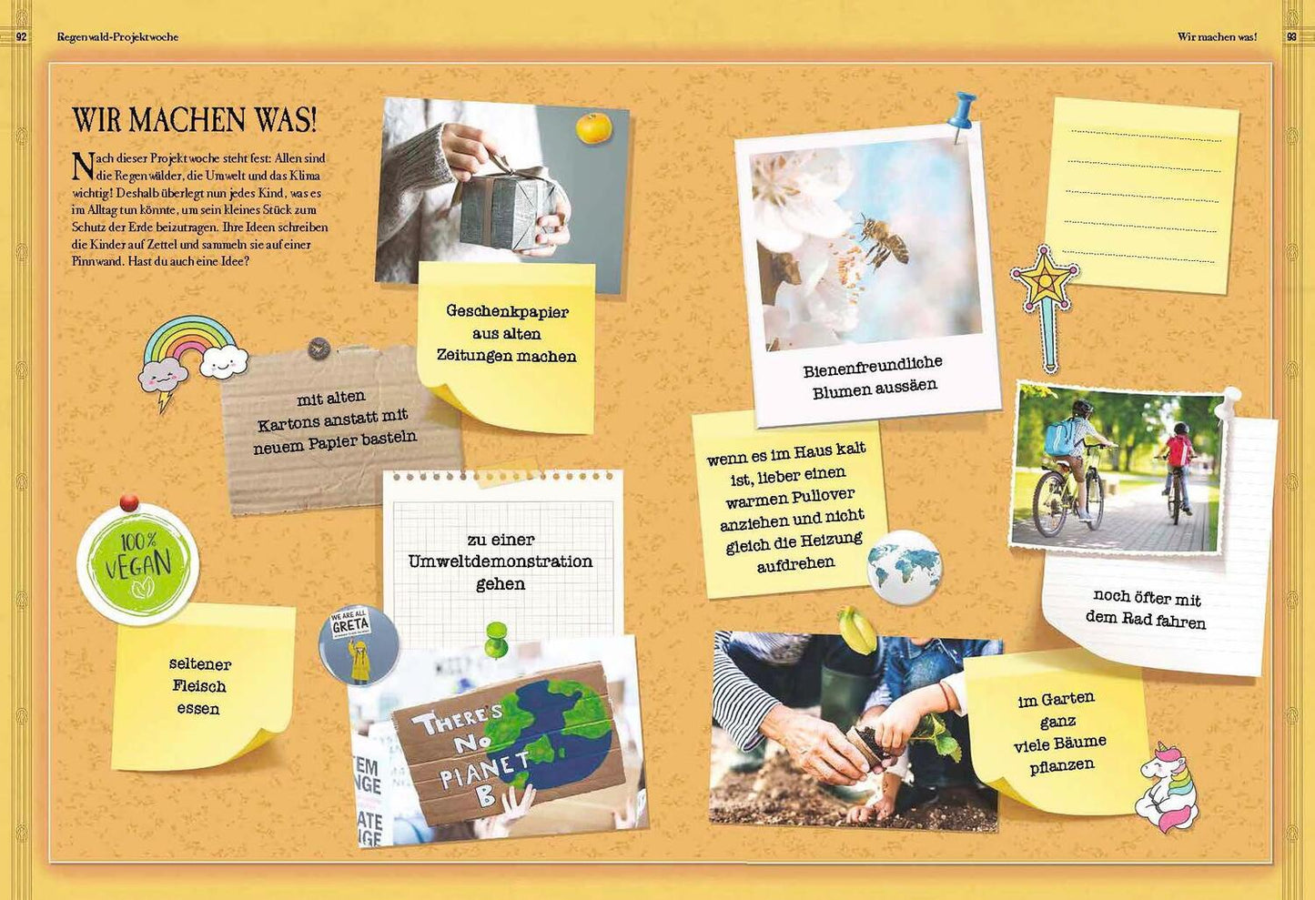 Sophie Verlag Verborgene Welt des Regenwaldes (Deutsch, 2020, Kristina Scharmacher-Schreiber, Ferruccio Cucchiarini)