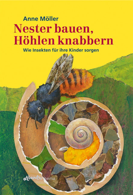 Nester bauen, Höhlen knabbern (Anne Möller)