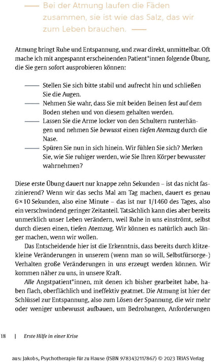 Trias Psychotherapie für zu Hause (Deutsch, 2023, Birgit Jakobs)