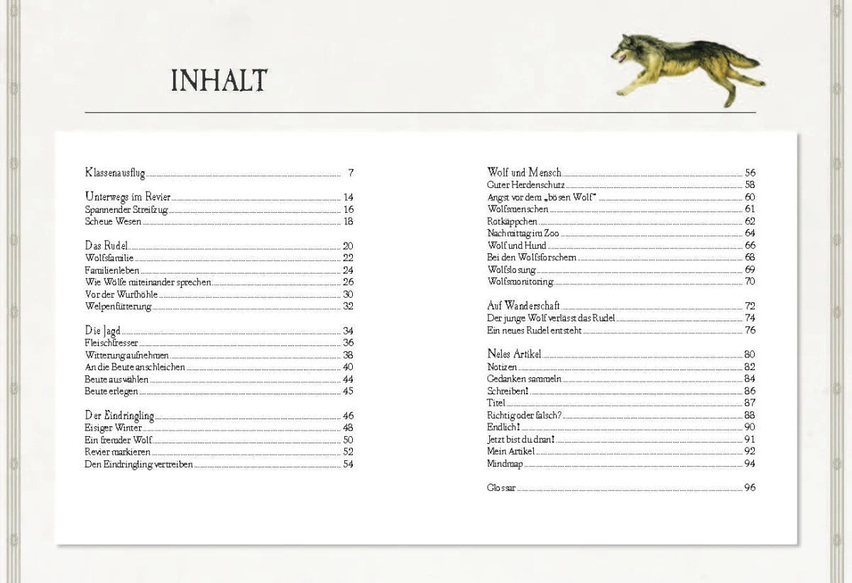 Sophie Verlag Ferruccio Cucchiarini (Deutsch, 2020, Ferruccio Cucchiarini, Kristina Scharrmacher-Schreiber, Kristina Scharmacher-Schreiber)