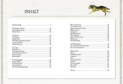 Sophie Verlag Ferruccio Cucchiarini (Deutsch, 2020, Ferruccio Cucchiarini, Kristina Scharrmacher-Schreiber, Kristina Scharmacher-Schreiber)