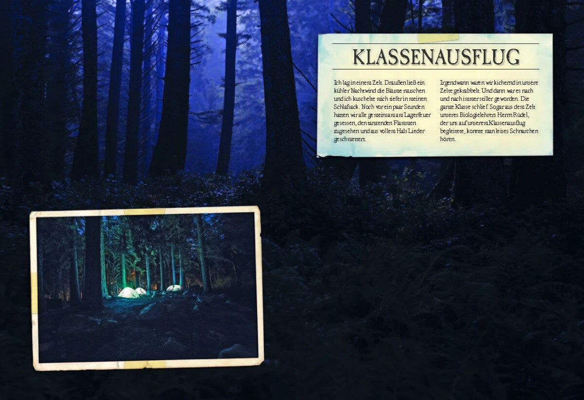 Sophie Verlag Ferruccio Cucchiarini (Deutsch, 2020, Ferruccio Cucchiarini, Kristina Scharrmacher-Schreiber, Kristina Scharmacher-Schreiber)