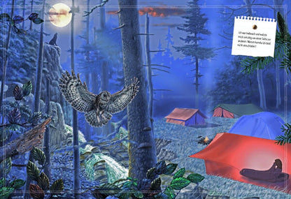 Sophie Verlag Ferruccio Cucchiarini (Deutsch, 2020, Ferruccio Cucchiarini, Kristina Scharrmacher-Schreiber, Kristina Scharmacher-Schreiber)