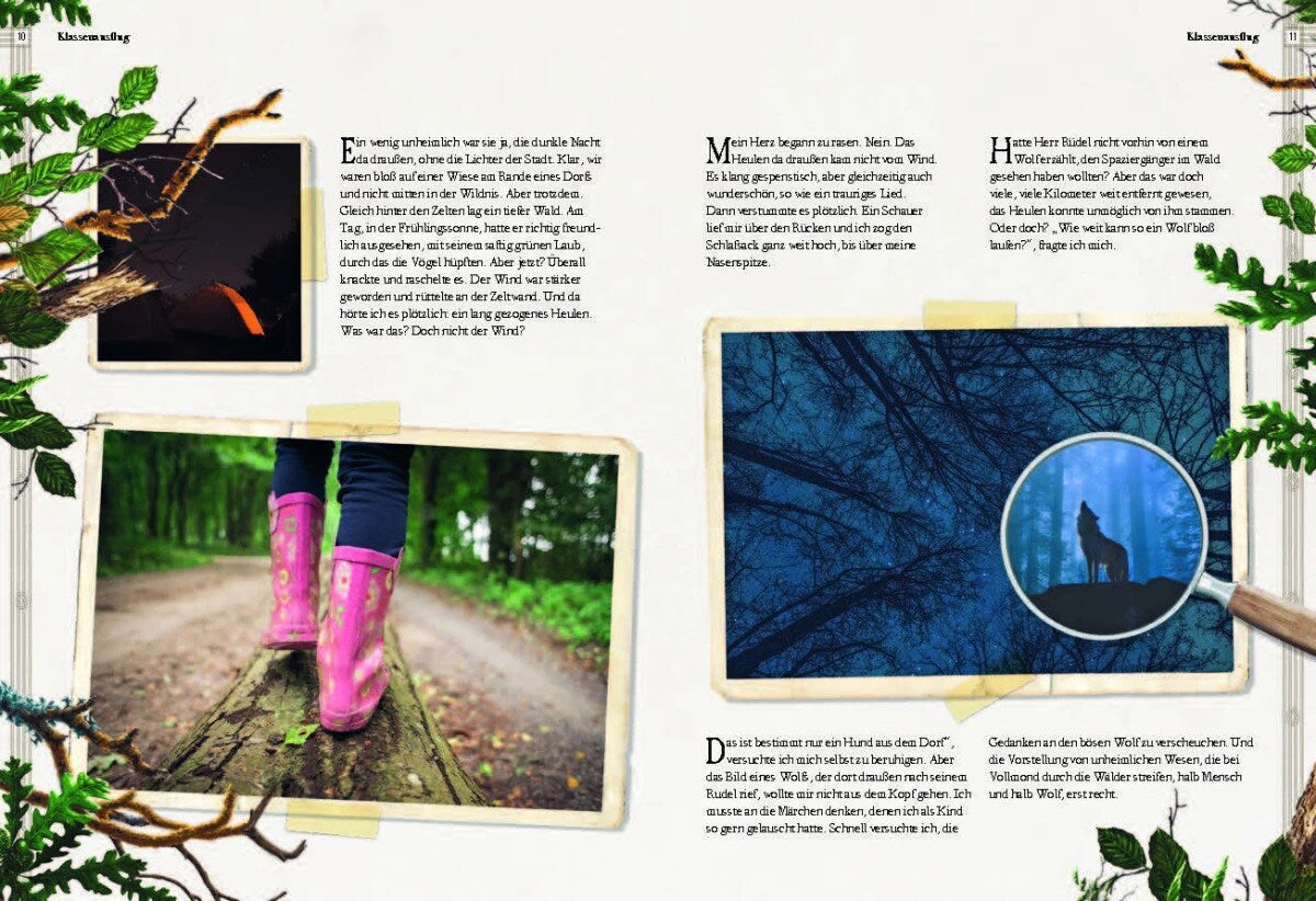 Sophie Verlag Ferruccio Cucchiarini (Deutsch, 2020, Ferruccio Cucchiarini, Kristina Scharrmacher-Schreiber, Kristina Scharmacher-Schreiber)