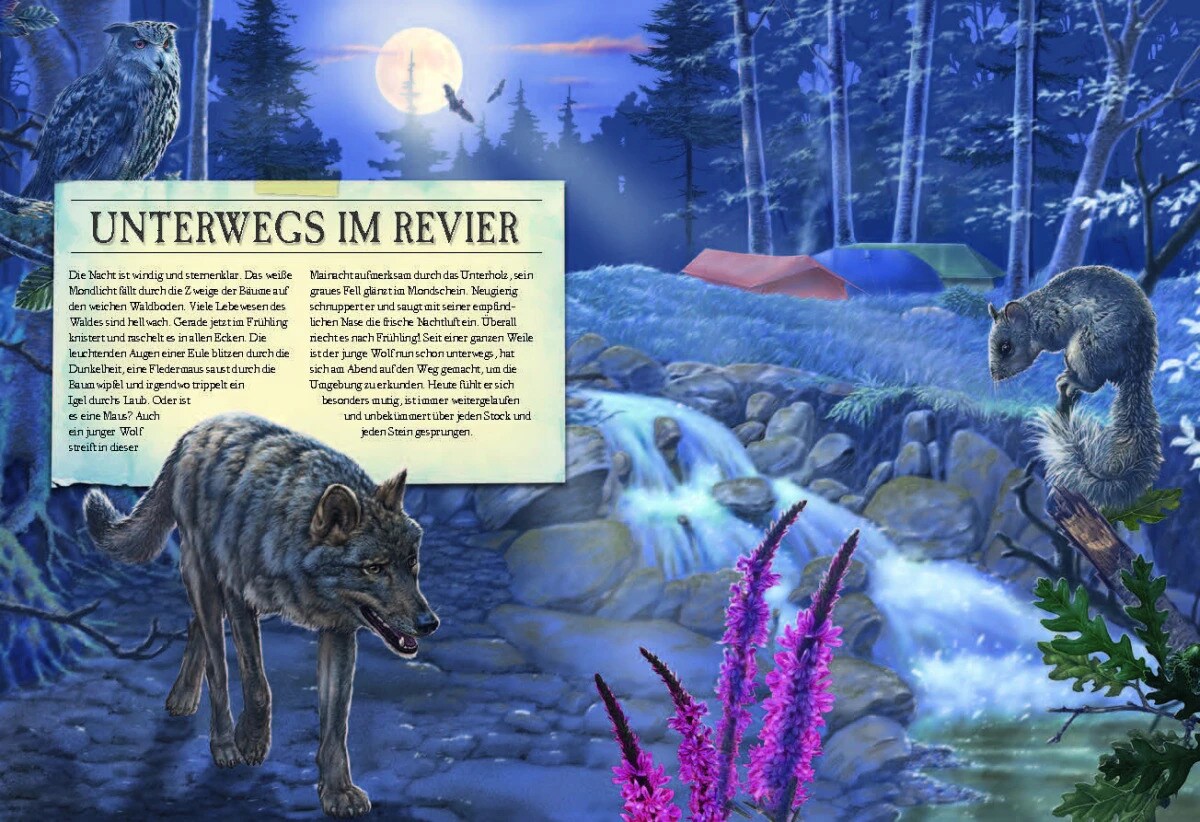 Sophie Verlag Ferruccio Cucchiarini (Deutsch, 2020, Ferruccio Cucchiarini, Kristina Scharrmacher-Schreiber, Kristina Scharmacher-Schreiber)