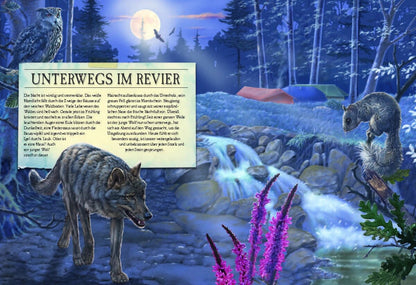 Sophie Verlag Ferruccio Cucchiarini (Deutsch, 2020, Ferruccio Cucchiarini, Kristina Scharrmacher-Schreiber, Kristina Scharmacher-Schreiber)