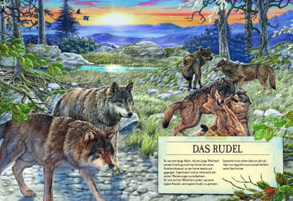 Sophie Verlag Ferruccio Cucchiarini (Deutsch, 2020, Ferruccio Cucchiarini, Kristina Scharrmacher-Schreiber, Kristina Scharmacher-Schreiber)