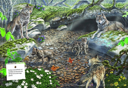 Sophie Verlag Ferruccio Cucchiarini (Deutsch, 2020, Ferruccio Cucchiarini, Kristina Scharrmacher-Schreiber, Kristina Scharmacher-Schreiber)