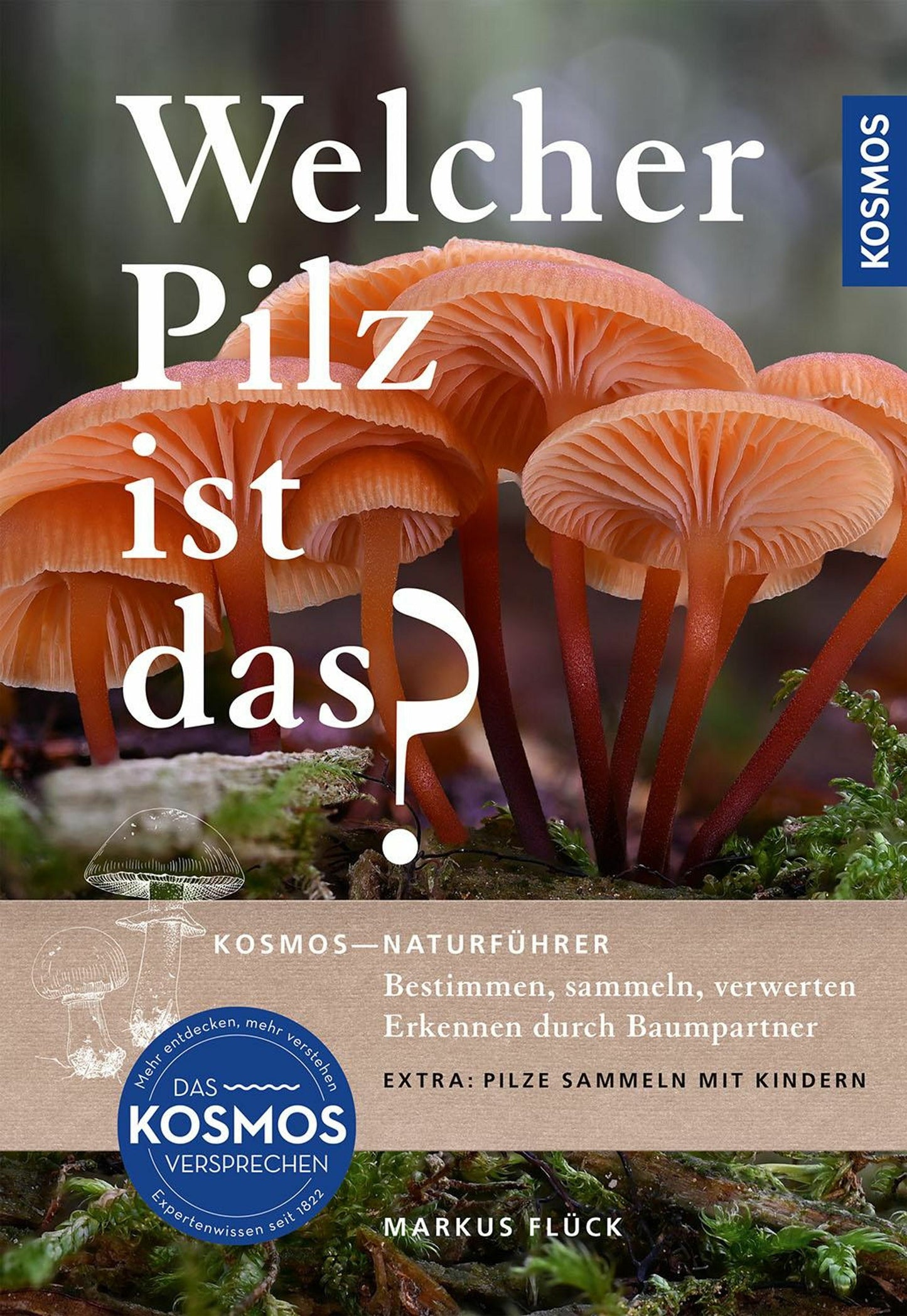 Kosmos Welcher Pilz ist das? (Deutsch, 2024, Markus Flück)