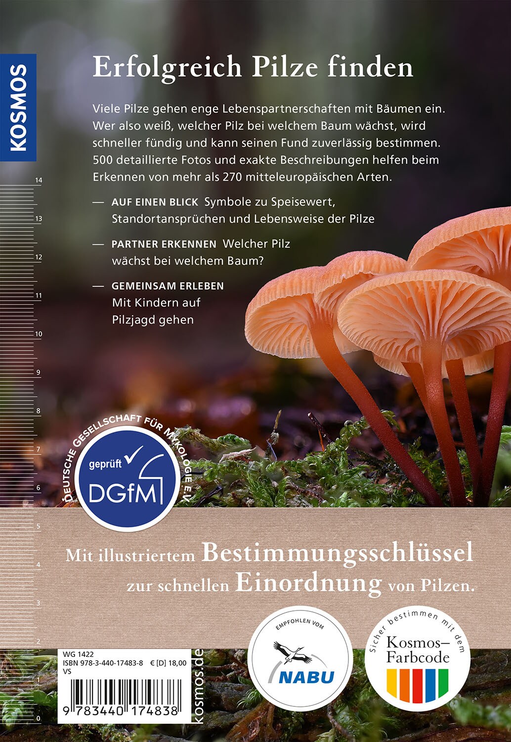 Kosmos Welcher Pilz ist das? (Deutsch, 2024, Markus Flück)