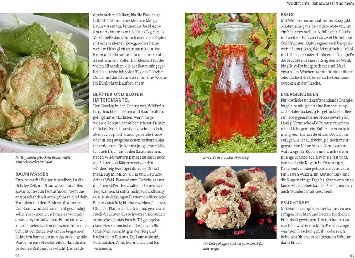 Kosmos Unsere Essbare Natur (Deutsch, 2023, Otmar Diez)