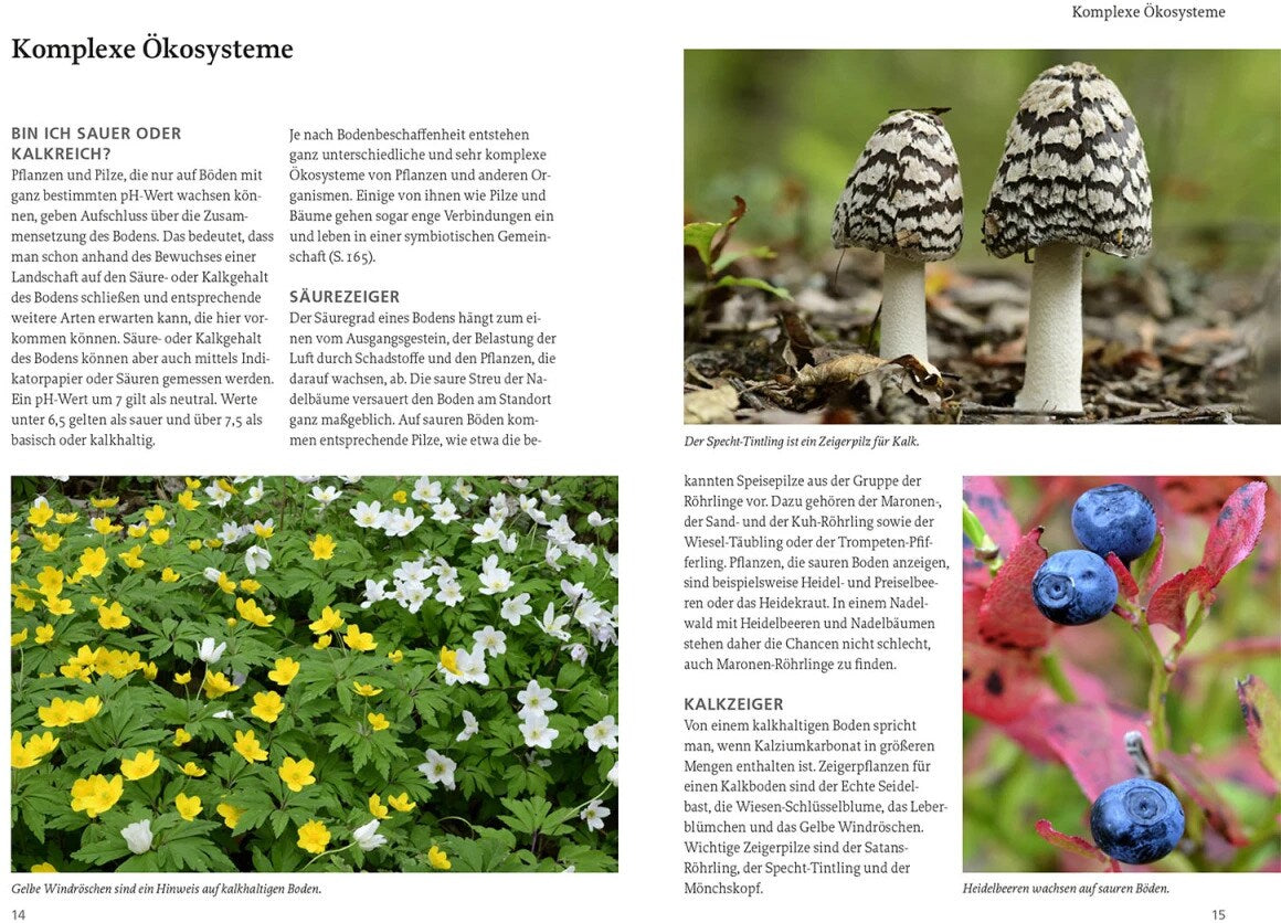 Kosmos Unsere Essbare Natur (Deutsch, 2023, Otmar Diez)