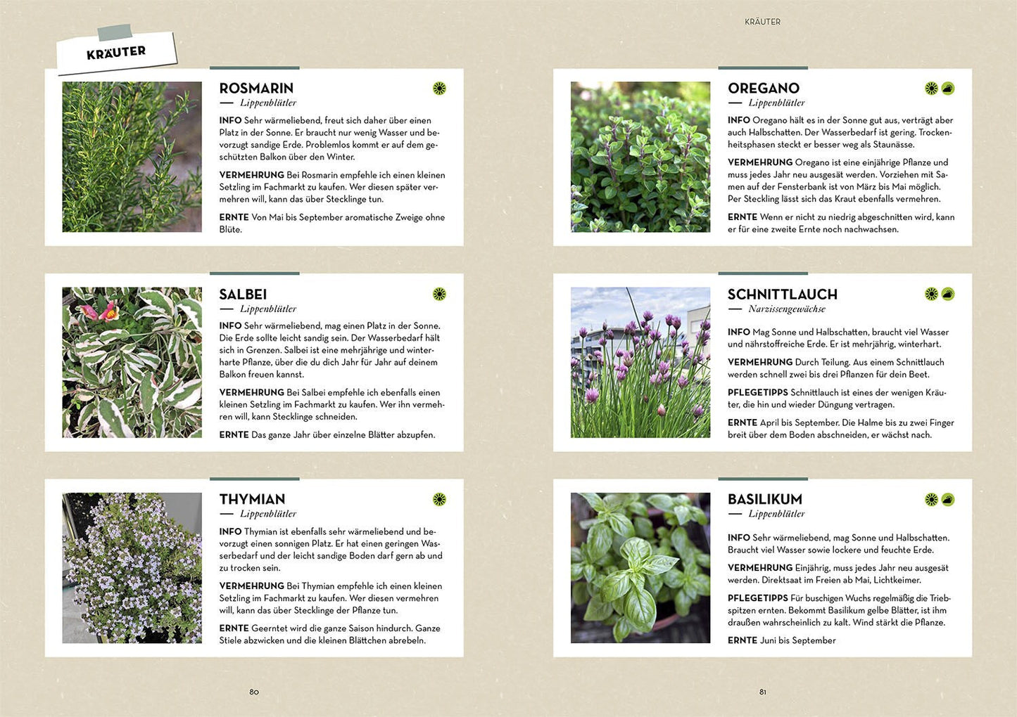 Kosmos Mein Balkon-Hochbeet (Deutsch, 2022, Lisa-Maria Trauer)