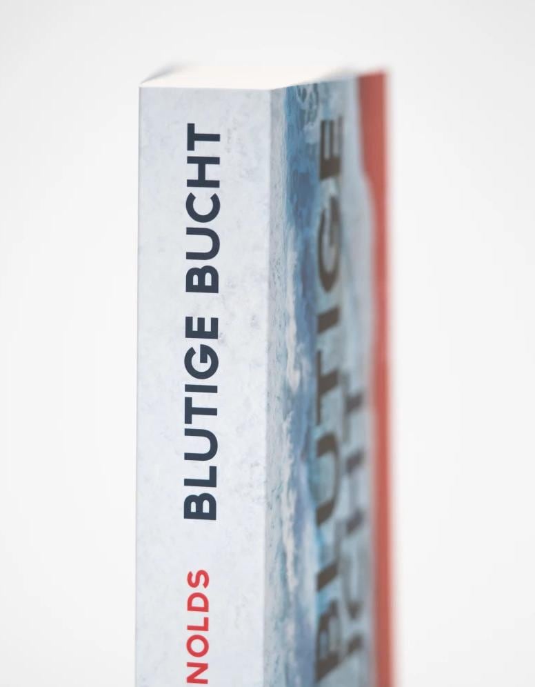 HarperCollins Blutige Bucht (Deutsch, 2023, Allie Reynolds, Sybille Uplegger)