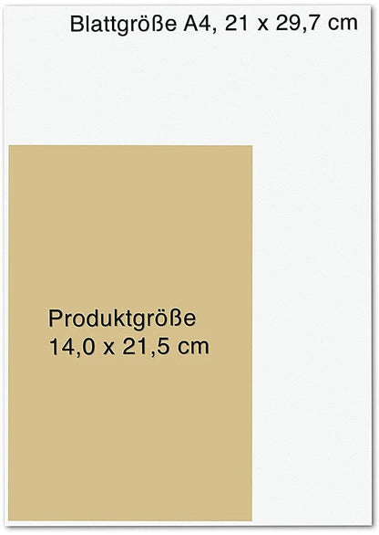 Droemer Knaur Kopf hoch! (Deutsch, 2024, Volker Busch)