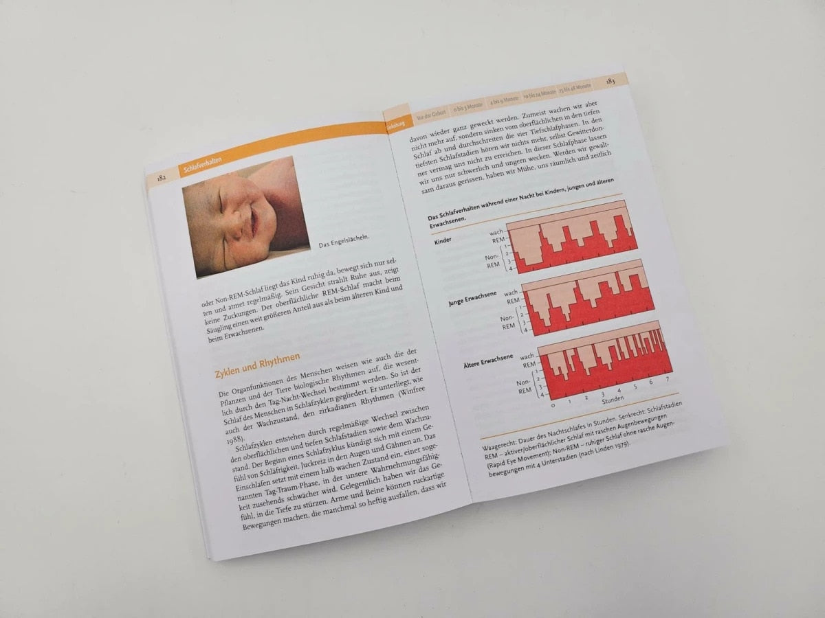 Piper Babyjahre (Deutsch, 2019, Remo H. Largo)