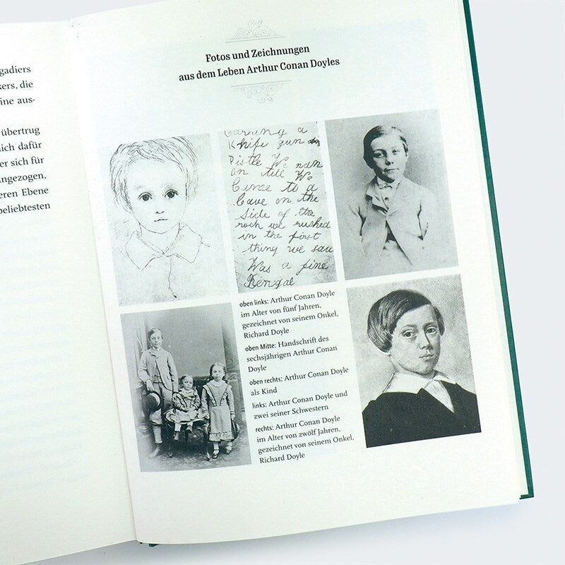 Hanser Baskerville Hall - Das geheimnisvolle Internat der besonderen Talente (Deutsch, 2024, Ali Standish)