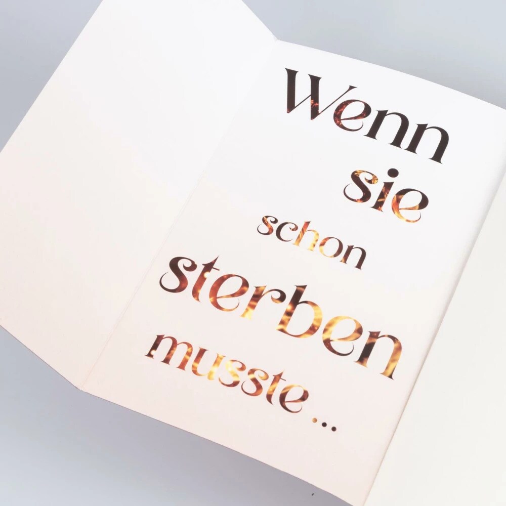 Carlsen Fire Fallen (Die Chroniken von Solaris 2) (Deutsch, 2023, Elise Kova, Susanne Klein)