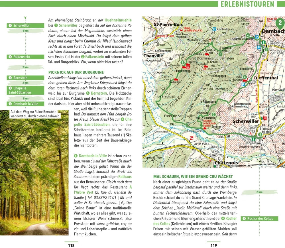 Marco Polo Reiseführer Elsass (Deutsch, 2023, Pascal Cames)