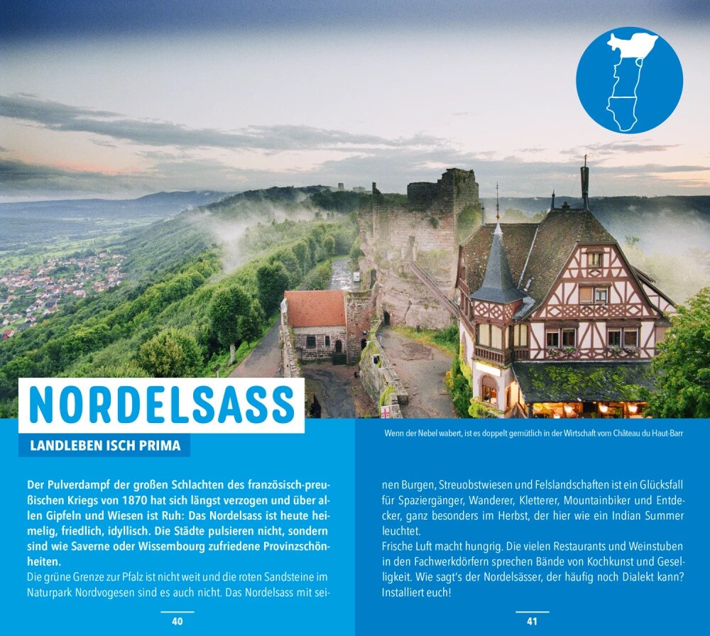 Marco Polo Reiseführer Elsass (Deutsch, 2023, Pascal Cames)