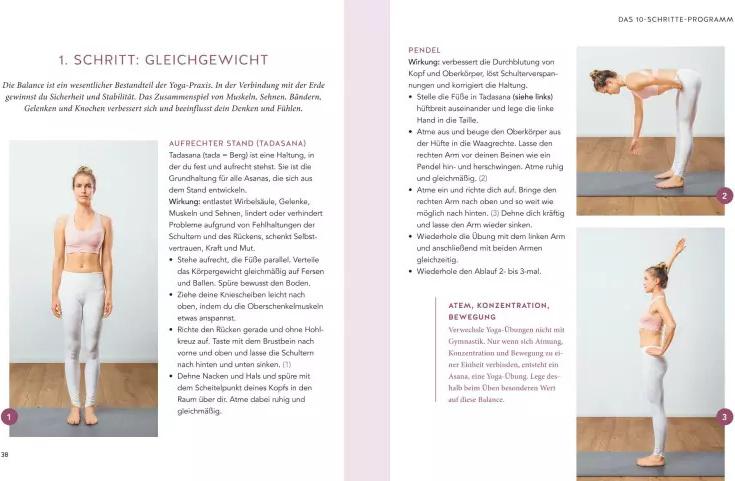 GU Yoga für Einsteiger (Deutsch, 2019, Harry Waesse)