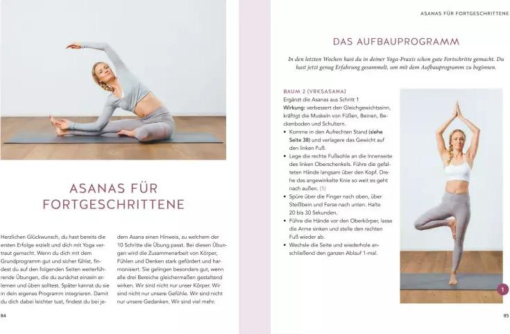GU Yoga für Einsteiger (Deutsch, 2019, Harry Waesse)