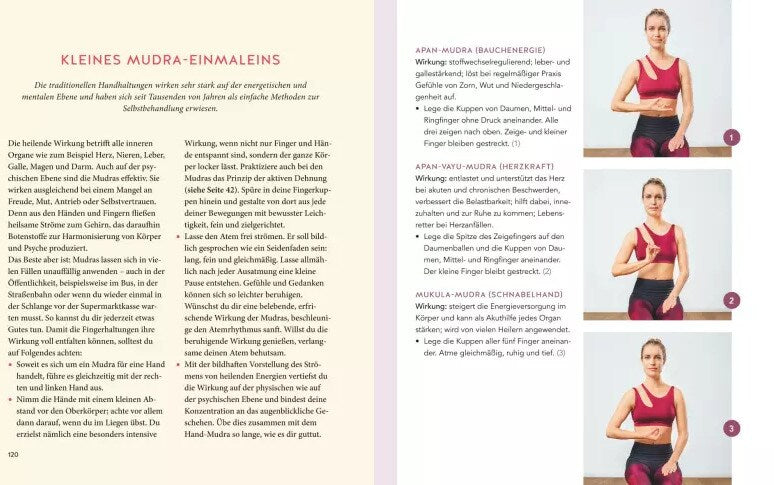 GU Yoga für Einsteiger (Deutsch, 2019, Harry Waesse)