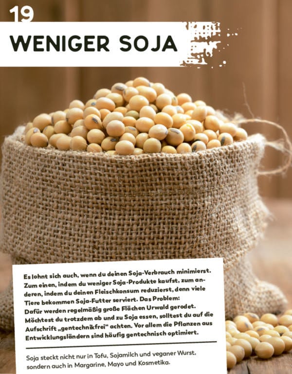 Frech Trick 17 - Nachhaltig leben (Deutsch, 2019, Ina Volkmer)